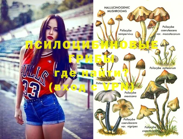 индика Алзамай